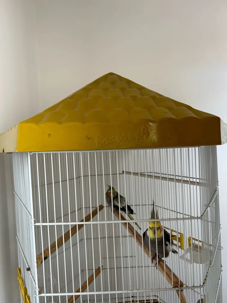 Gaiola - Foto 2