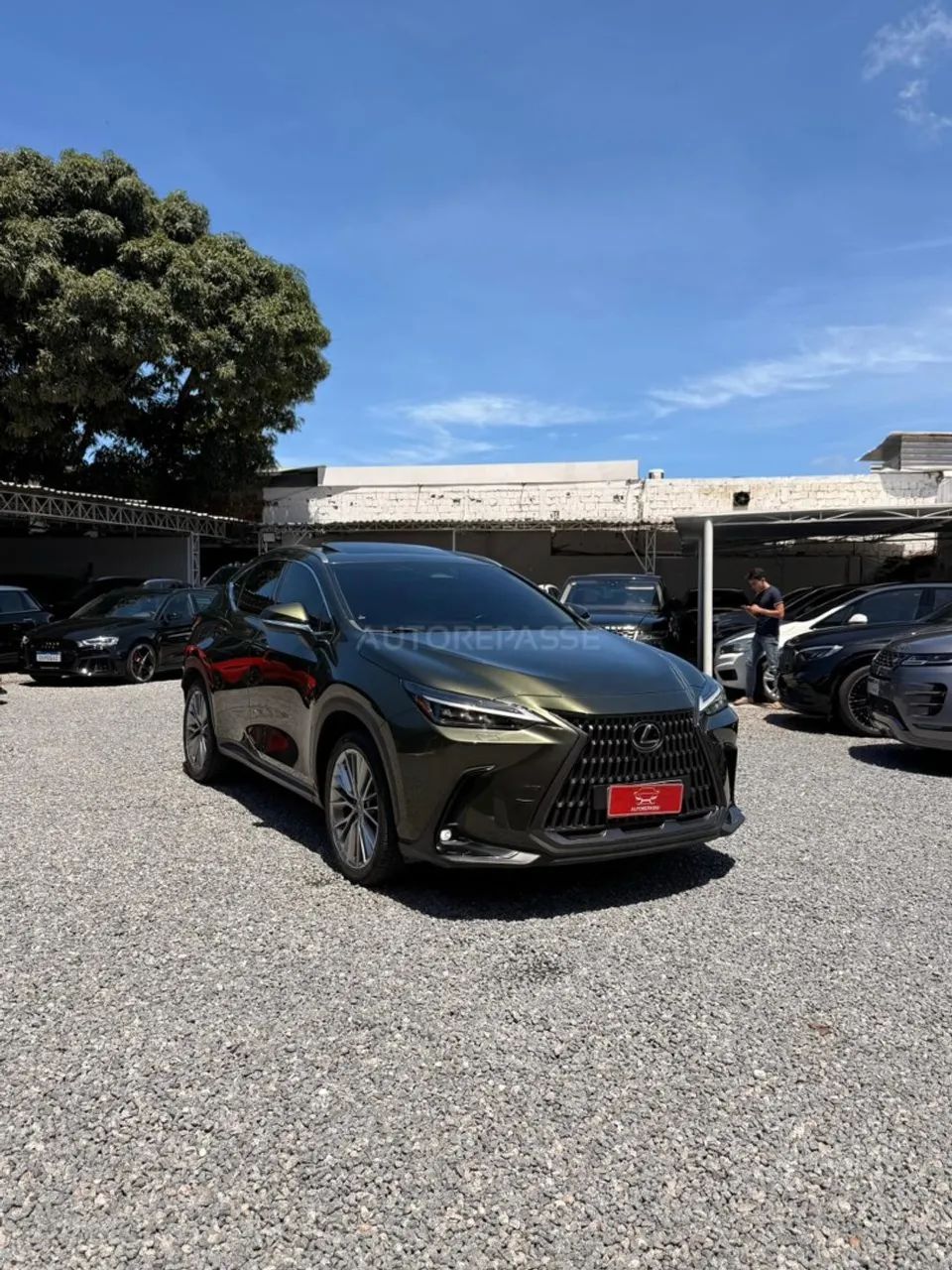 Lexus NX-350h Luxury 2.5 16V Aut. (hybrid), foto 3 de 20