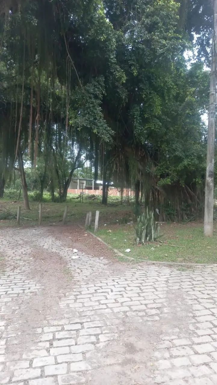 Vendo terreno no jesuítas  - Foto 2