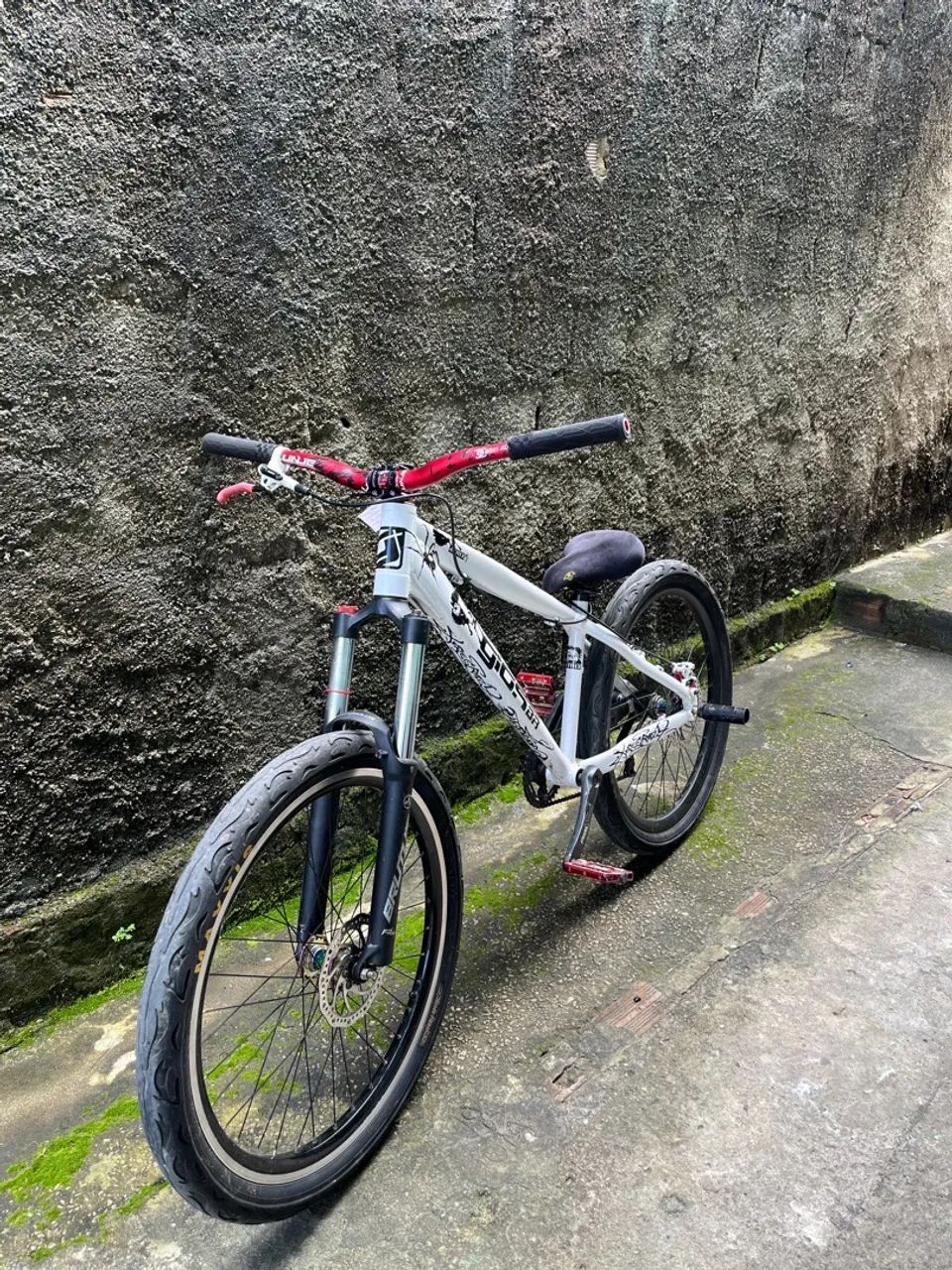 Gios 4trix 2026  - Foto 4