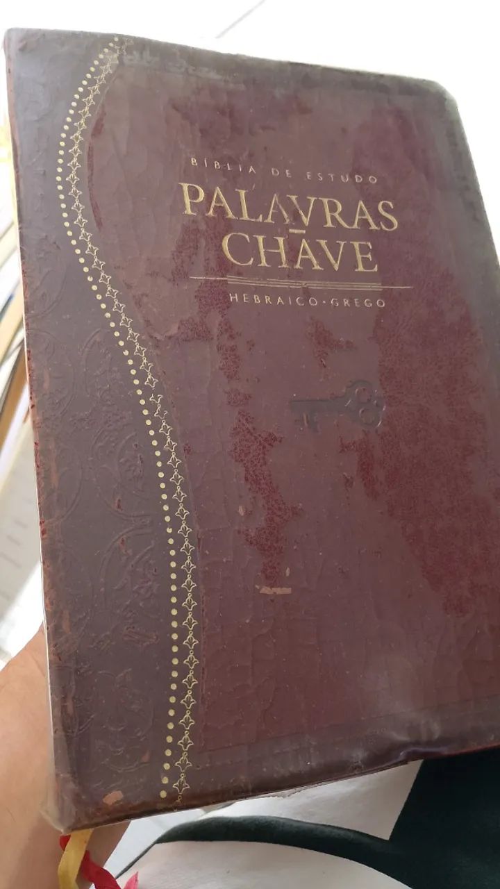 Bíblia de estudo palavra chave 