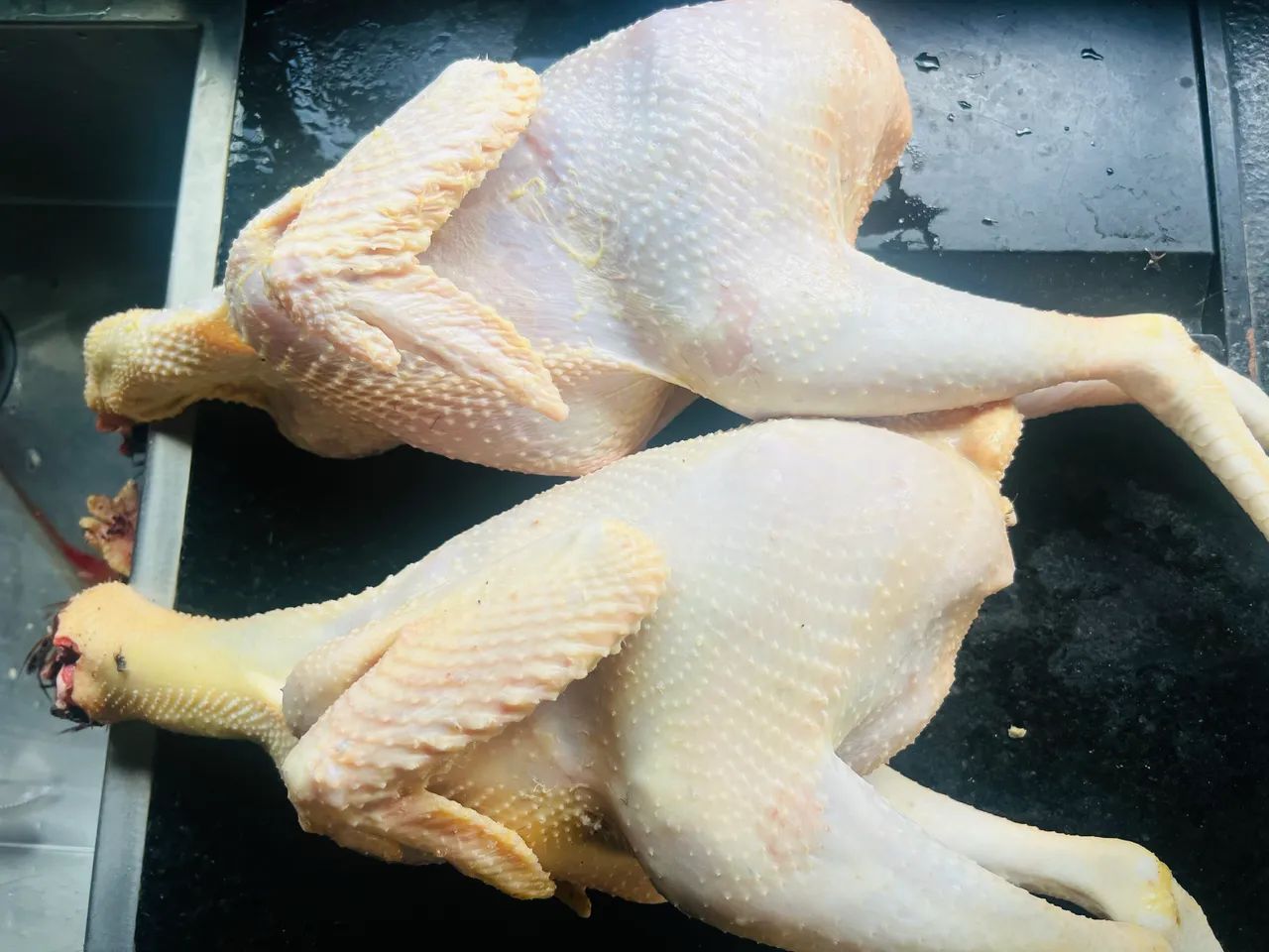 Frango/galinha de capoeira  - Foto 2