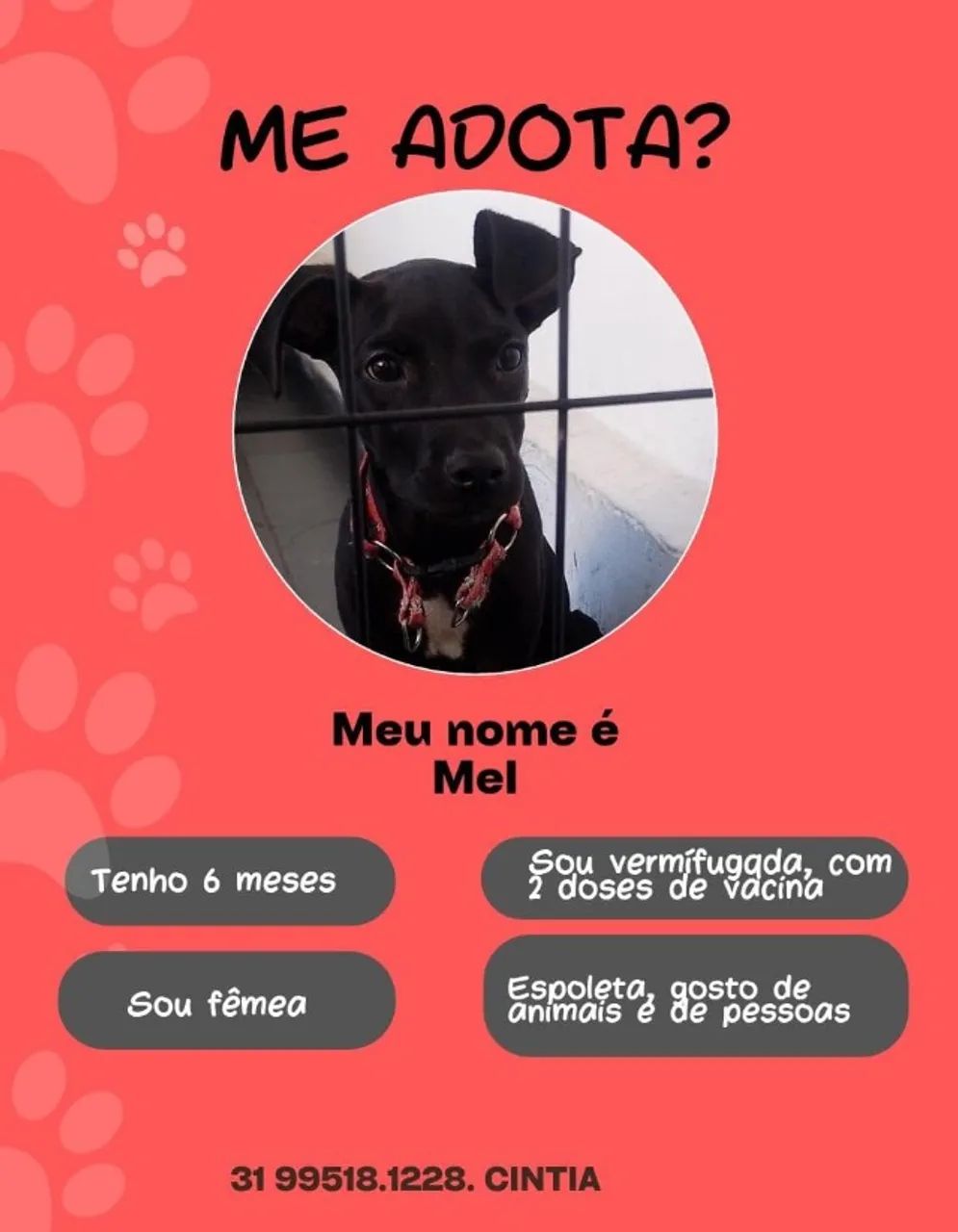 Doação