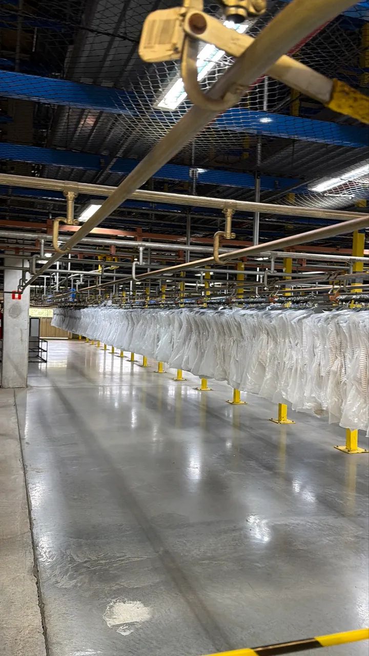 Hang Sorter Sdi - Foto 3