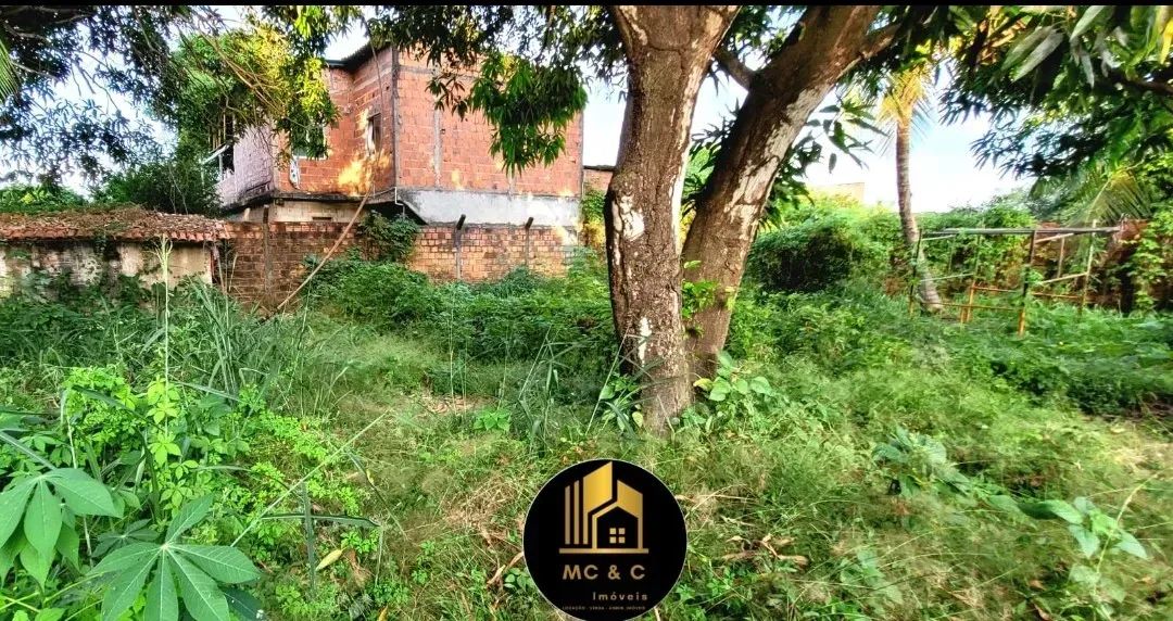Terreno bem localizado na Divinéa - Foto 3