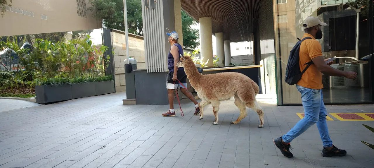 Maridão de Aluguel! - Foto 5