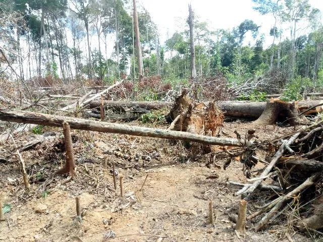 LOTE da Chácara São Raimundo  - Foto 3