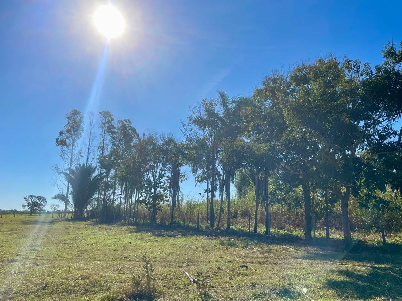 Chácara próxima a CG - Foto 3