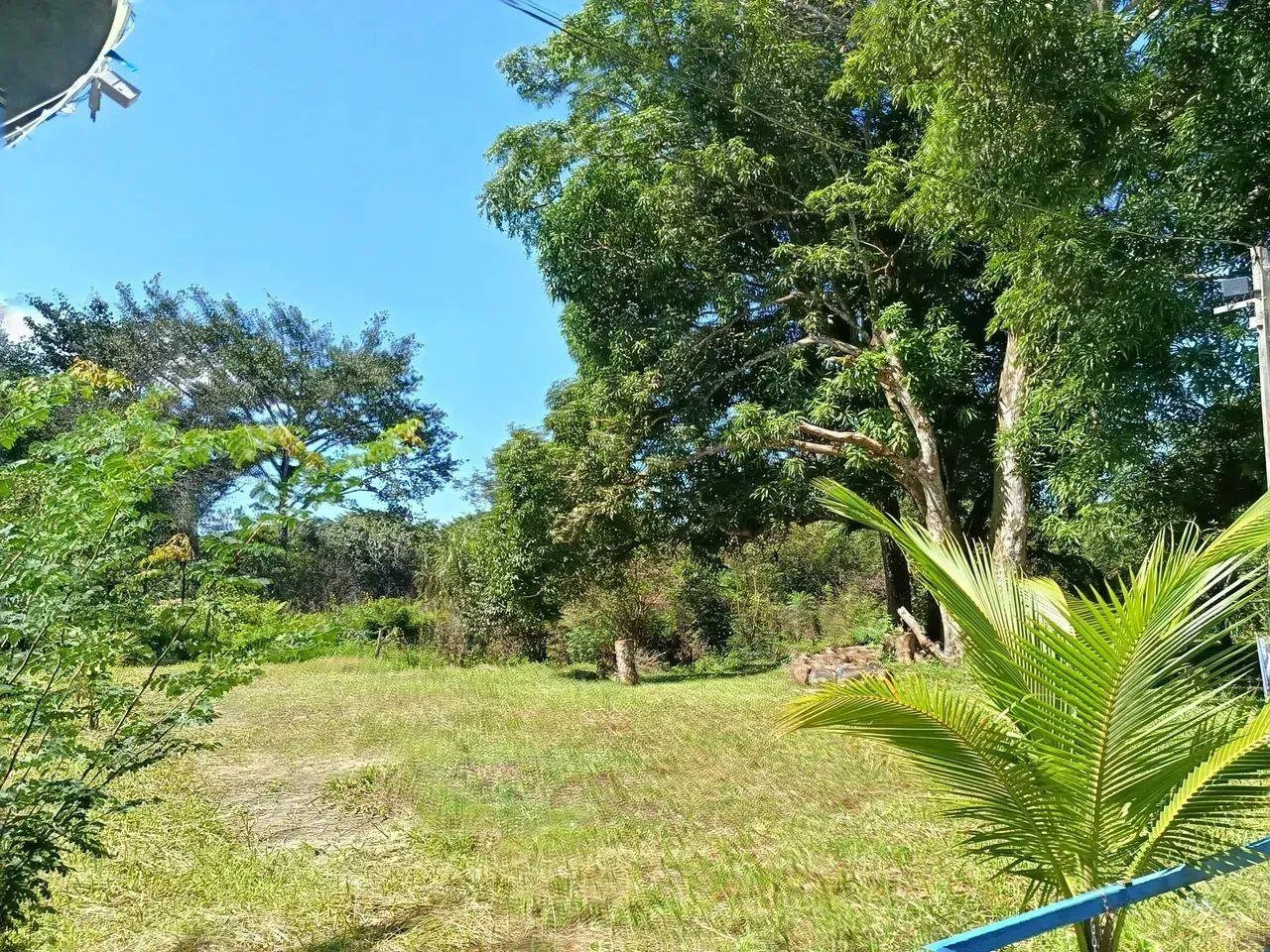 Sitio para venda com 13600 m2 em Centro - Bragança - PA - Foto 5