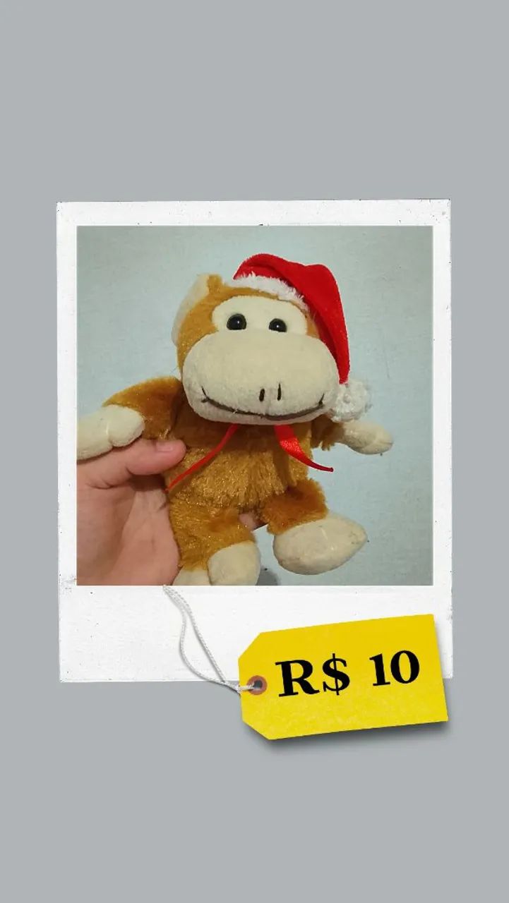 Ursinhos  - Foto 4