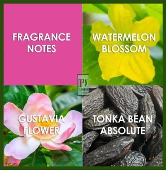 Perfume Jungle Fantasy 100ml - Britney Spears (Original, Adipec!) - Foto 4