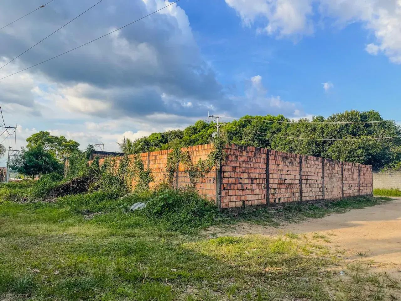 Terreno no Santa Etelvina com 441m² Todo Murado - Foto 6