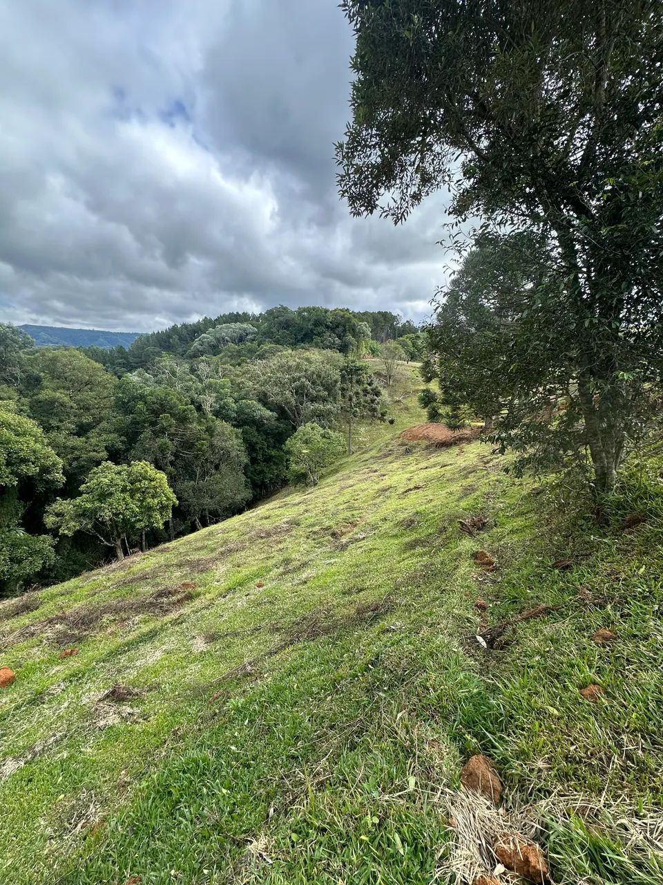 Área Rural para construção de chalé