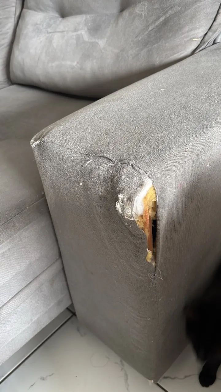 sofa dois lugares  - Foto 2