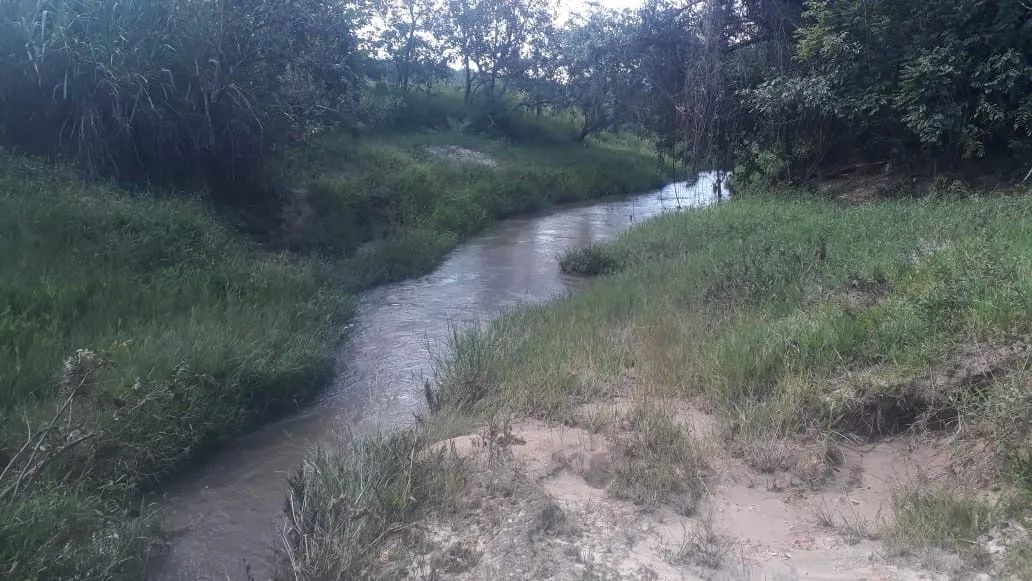 Vendo chácara com 1 alqueire, em rio claro, com rio dentro