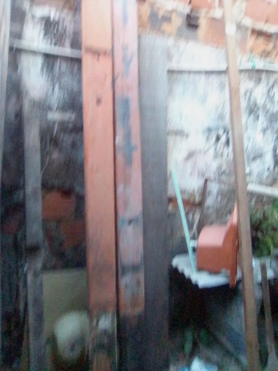 TIMBER  445638653006981122