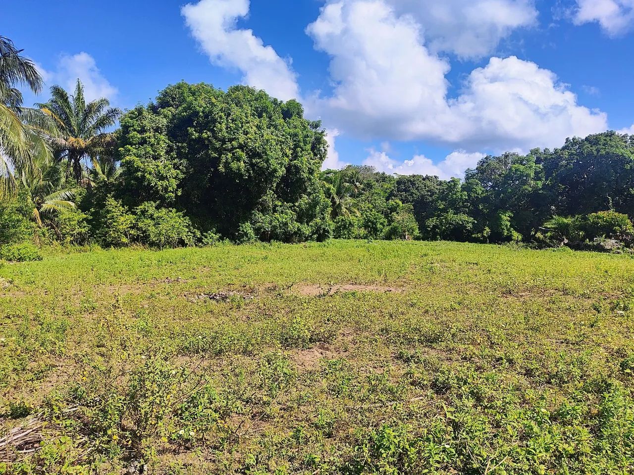 Terreno em ilha de mare - Foto 5