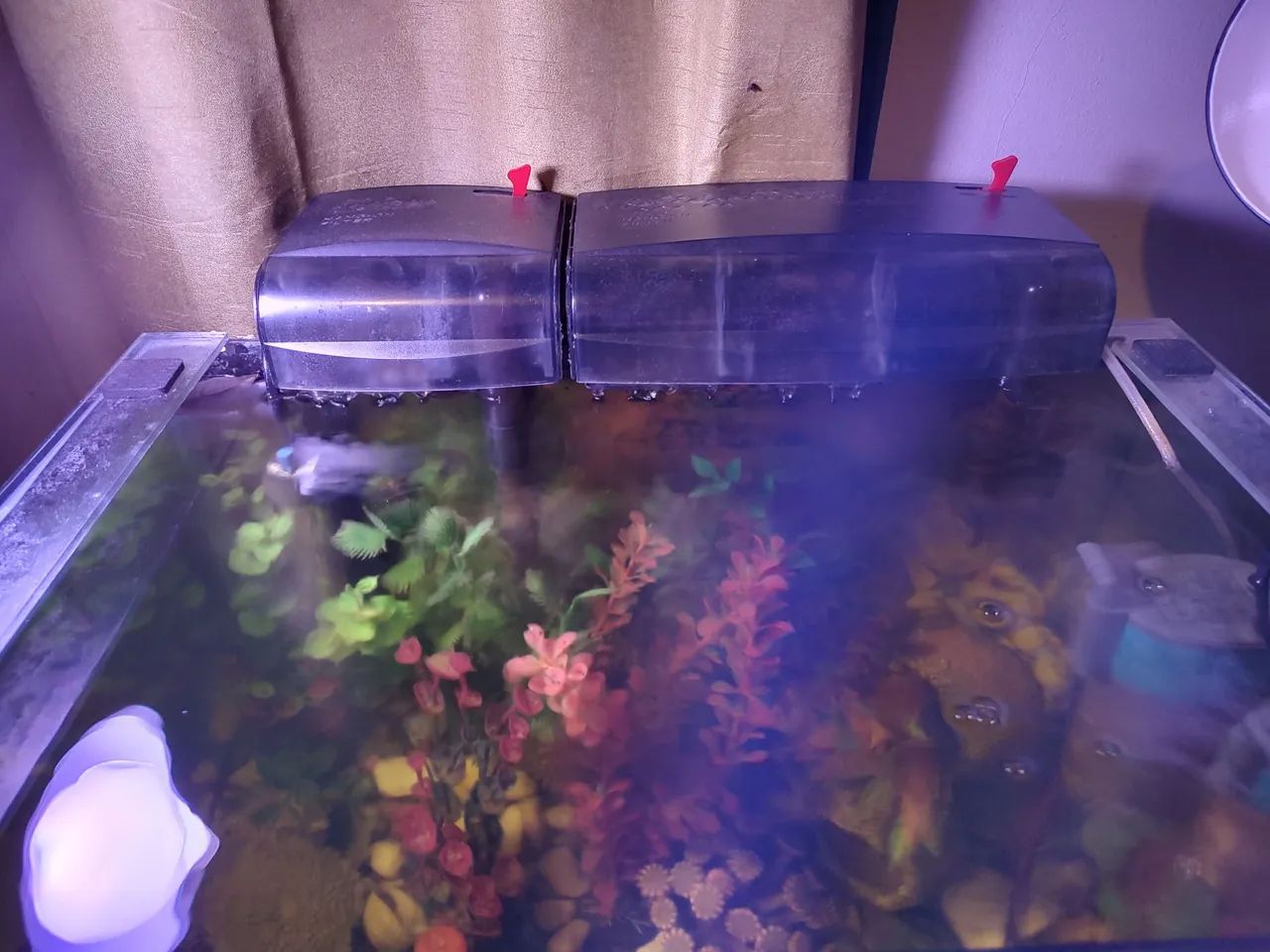 Vendo Aquário com Filtros, Bomba e Termostato - Foto 4