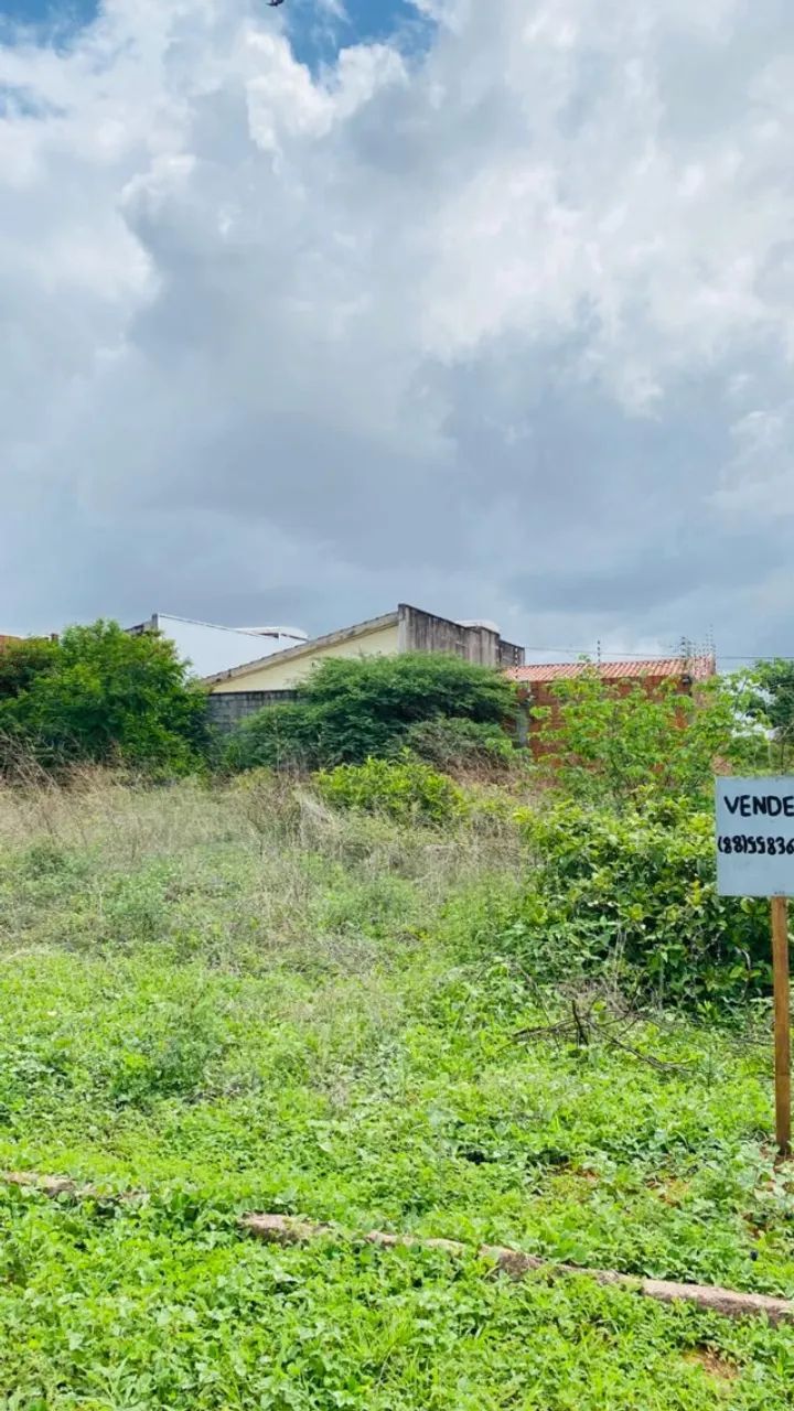 Foto - Juazeiro do Norte - Frei Damião
