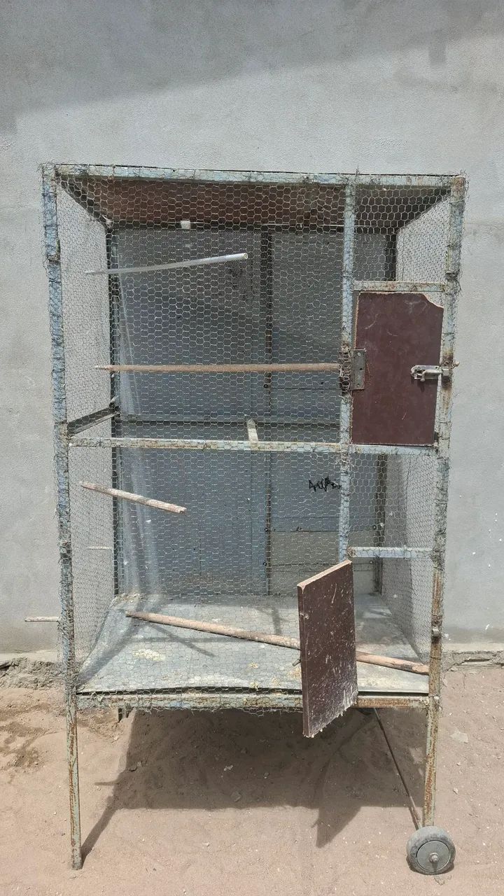 Viveiro para Aves 