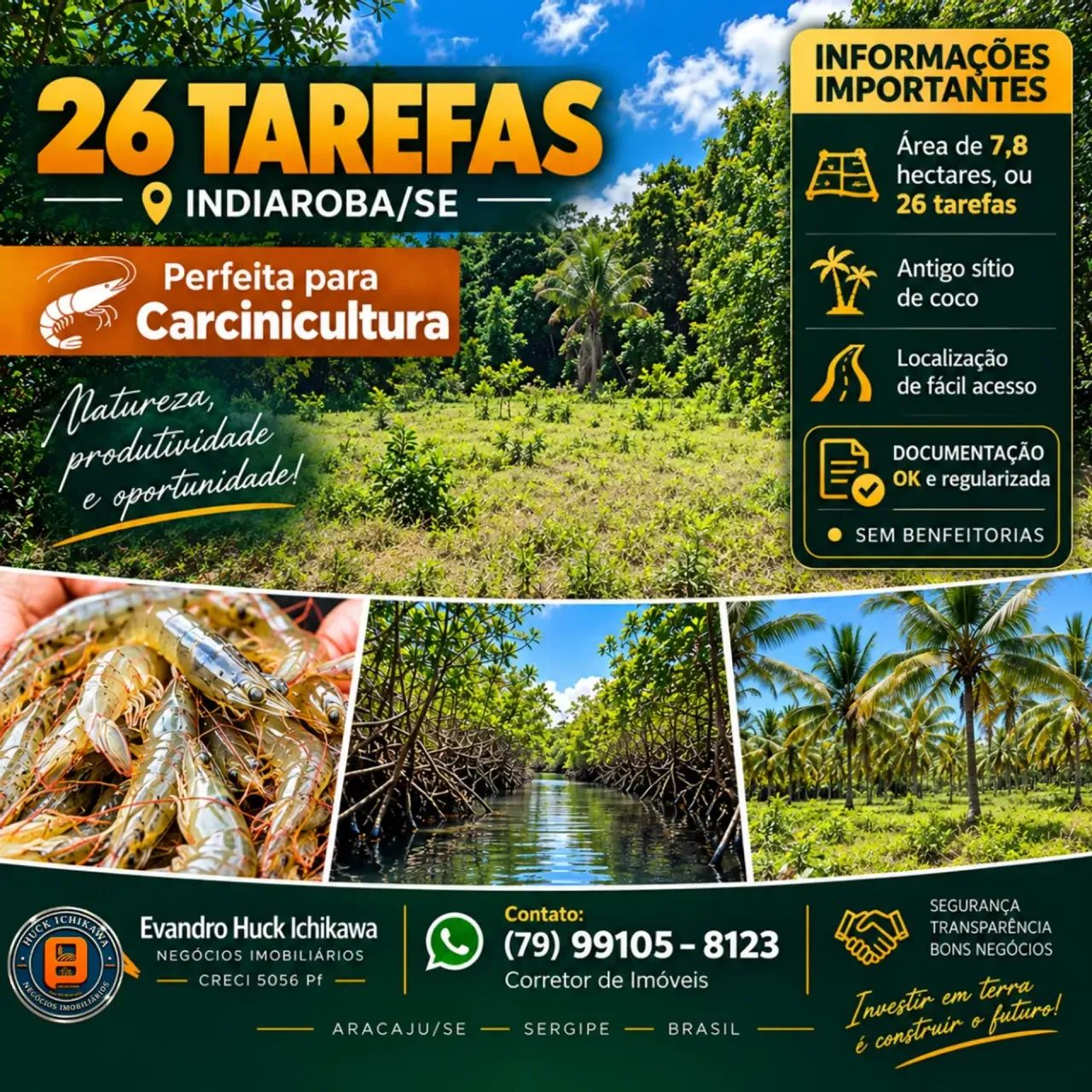 FAZENDA de 26 tarefas - INDIAROBA - Foto 4