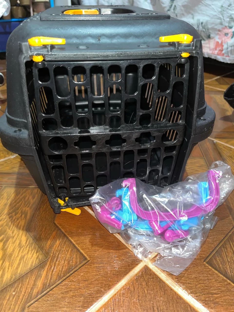 Caixa transparente gato e cachorro