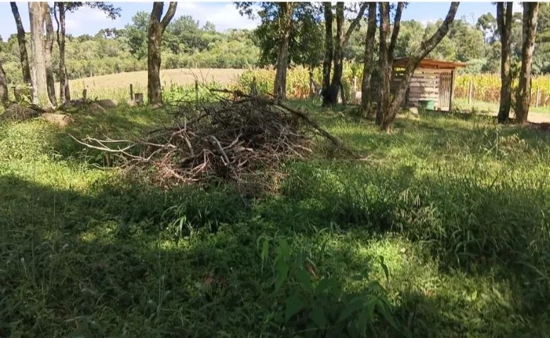 Excelente área em Mandirituba - Pr  - Foto 3