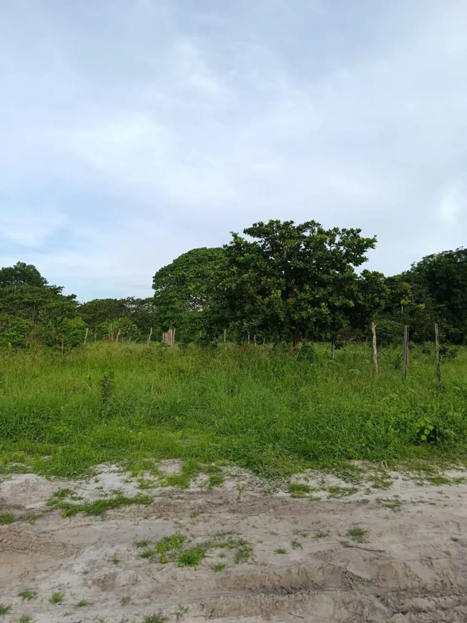 Foto - Pindoretama - 