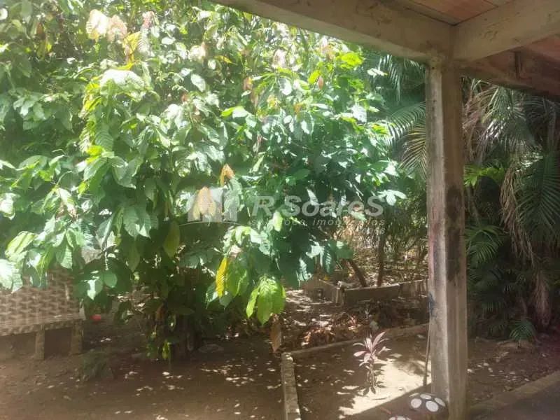 Terreno com 400m2 - Foto 4