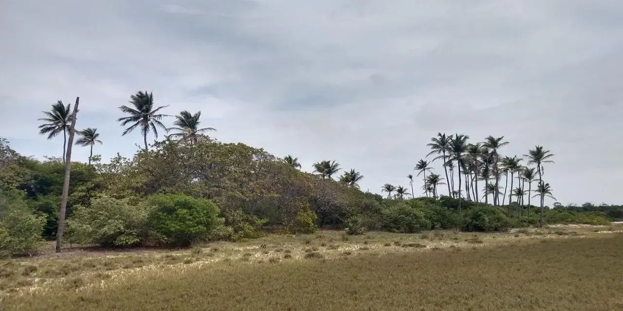 PRIMEIRA CRUZ-MA: Duas ilhas à venda com 360 hectares no Litoral Maranhense - Foto 9