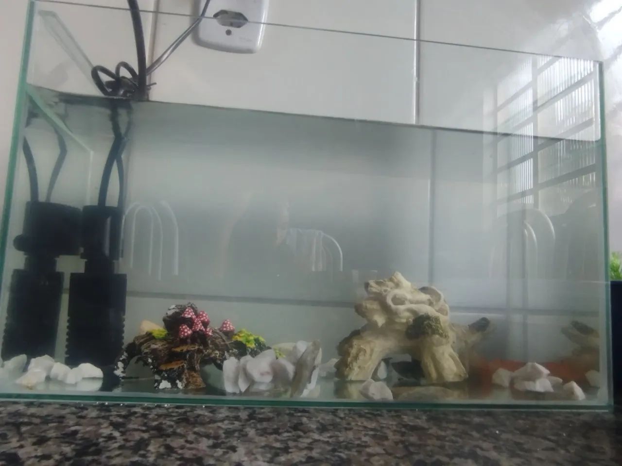 Aquário 