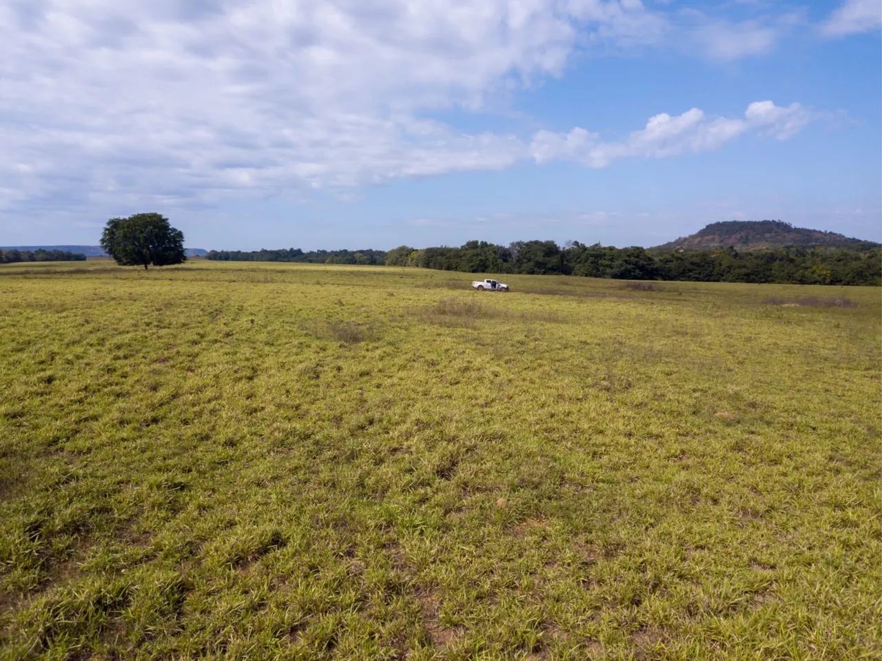 Fazenda em Goiatins/Tocantins  - Foto 4