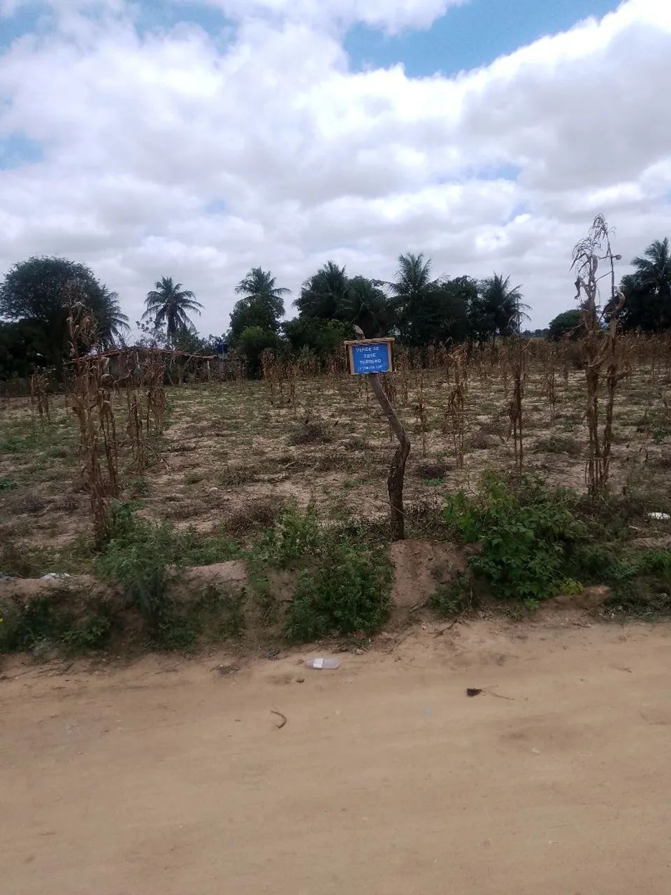 Vende - Se este terreno 