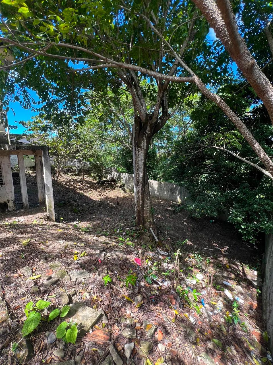 Vendo casa grande 