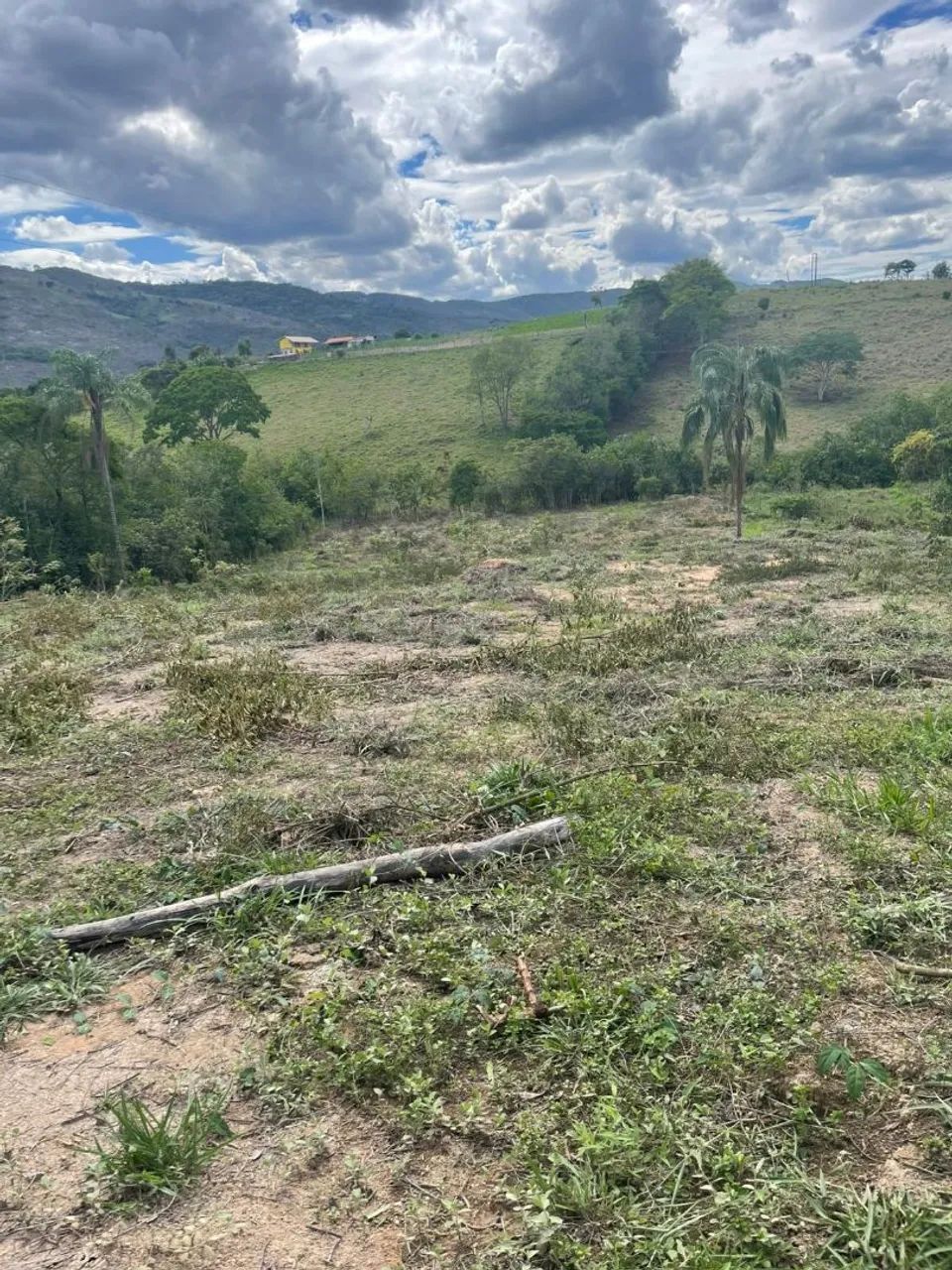Terreno 