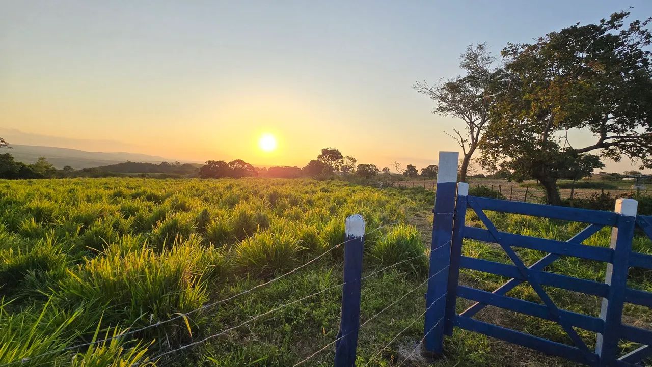 Vendo ou Troco Sítio Com 18.6 Tarefas em São Domingos  - Foto 2