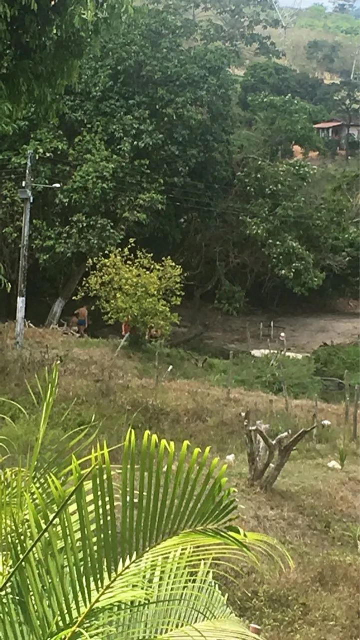 Venda  - Foto 2