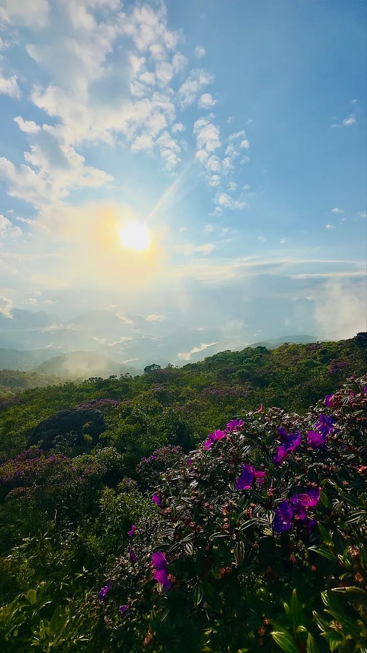 Fotografias para o usaria decorativos.  - Foto 4