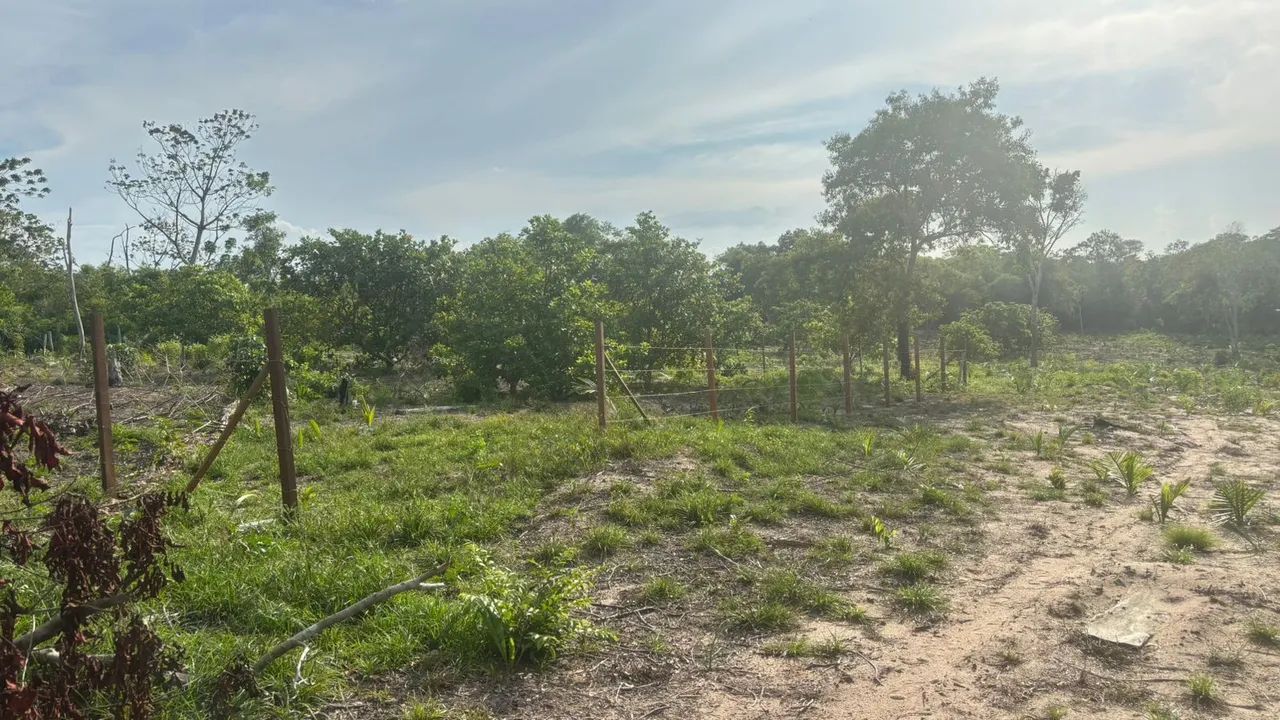 Terreno no Pindobal - Foto 4