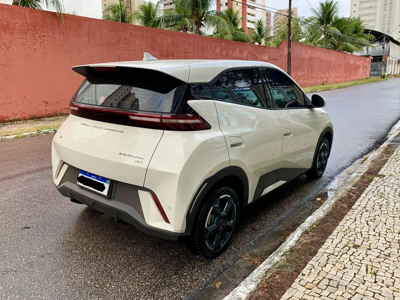 BYD Dolphin Mini (Elétrico) 2025 - Foto 3