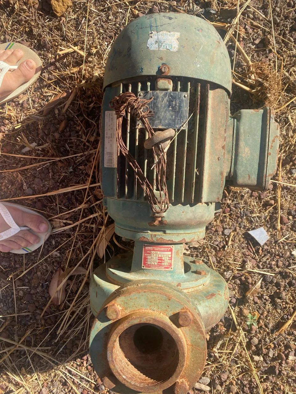 Bomba 