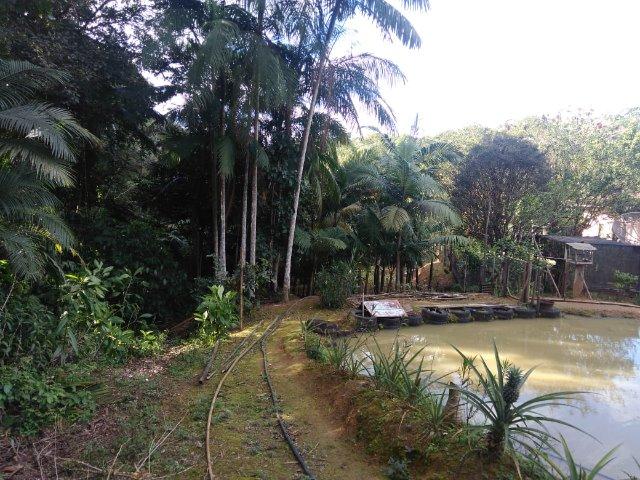 Chácara Em Guaramirim - Foto 12