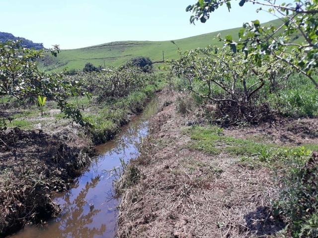 Belíssimo sítio em Cachoeiras de Macacu RJ 122 medindo 20.000m2 oportunidade!!!! - Foto 6
