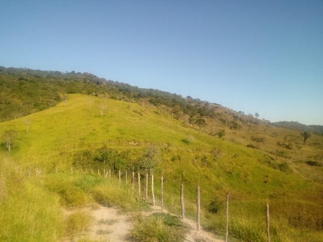 Fazenda 97 Alqs Na Região do Vale do Paraíba SP Negocio de oportunidade - Leia o anúncio - Foto 8