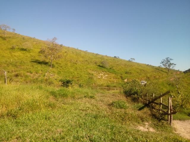 Fazenda 97 Alqs Na Região do Vale do Paraíba SP Negocio de oportunidade - Leia o anúncio - Foto 11