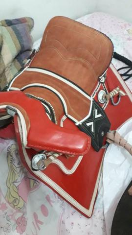 Cavalo - Foto 2