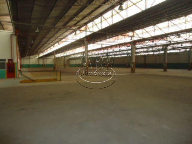 Galpão/depósito/armazém para alugar em Morada gaúcha, Gravataí cod:1135 - Foto 15