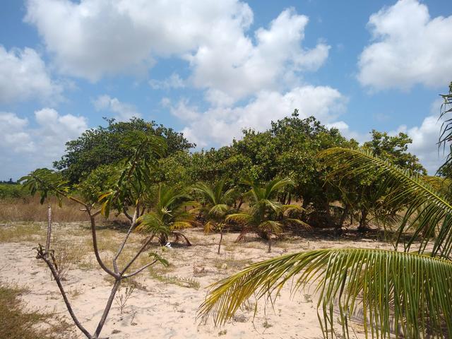 Terreno em Cascavel- Caponga - Foto 6