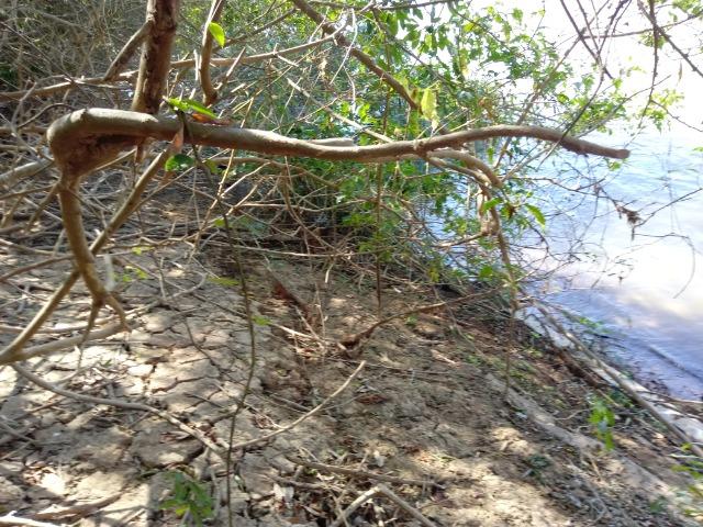 Rancho beira do rio cuiaba - Foto 2