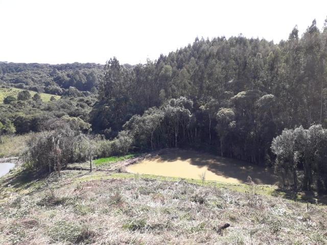 Chácara com 46.792m2 em Bocaiuva do Sul - Estudo Troca em Colombo - Foto 16